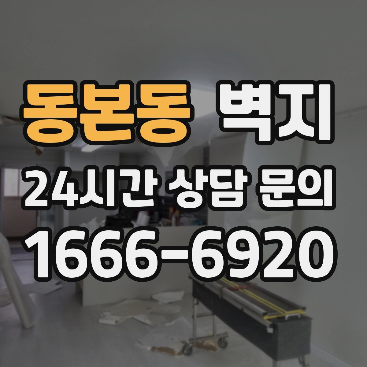 동본동 벽지