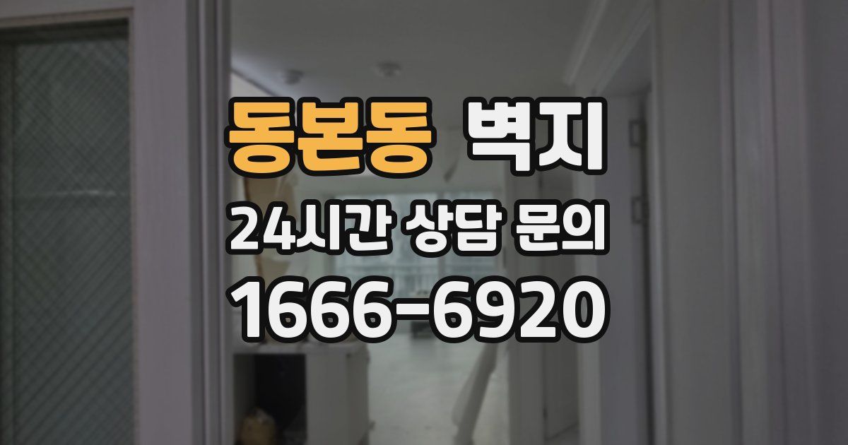 동본동 벽지