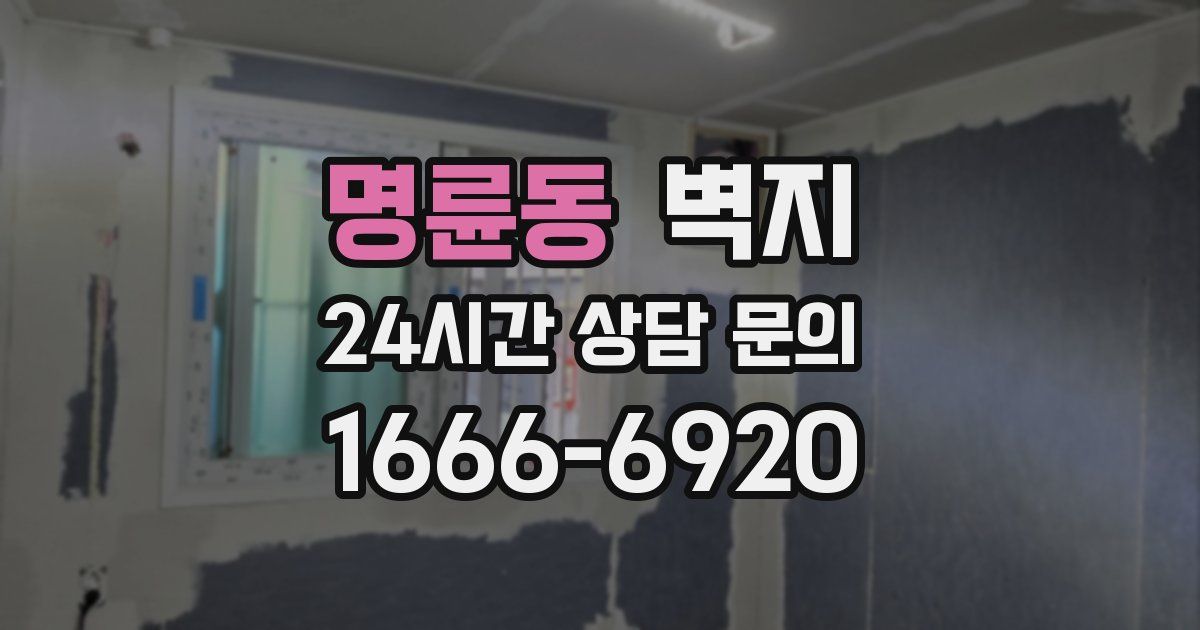 명륜동 벽지