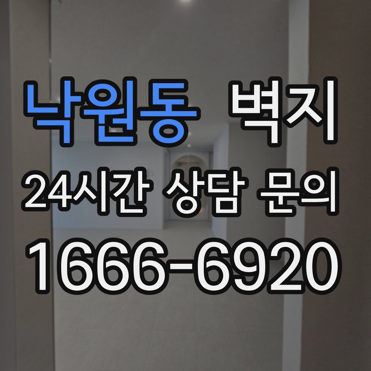 낙원동 벽지