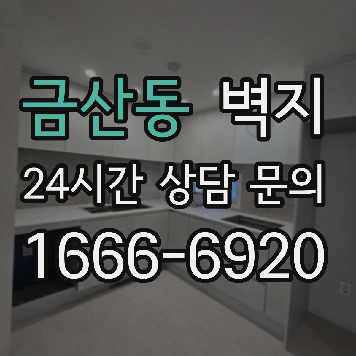 금산동 벽지