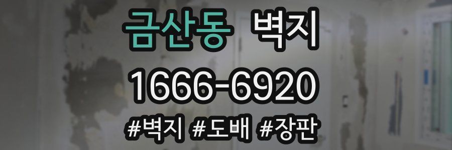 금산동 벽지