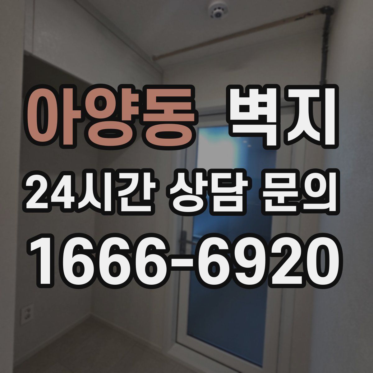 아양동 벽지