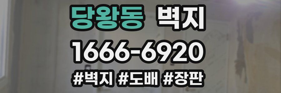 당왕동 벽지
