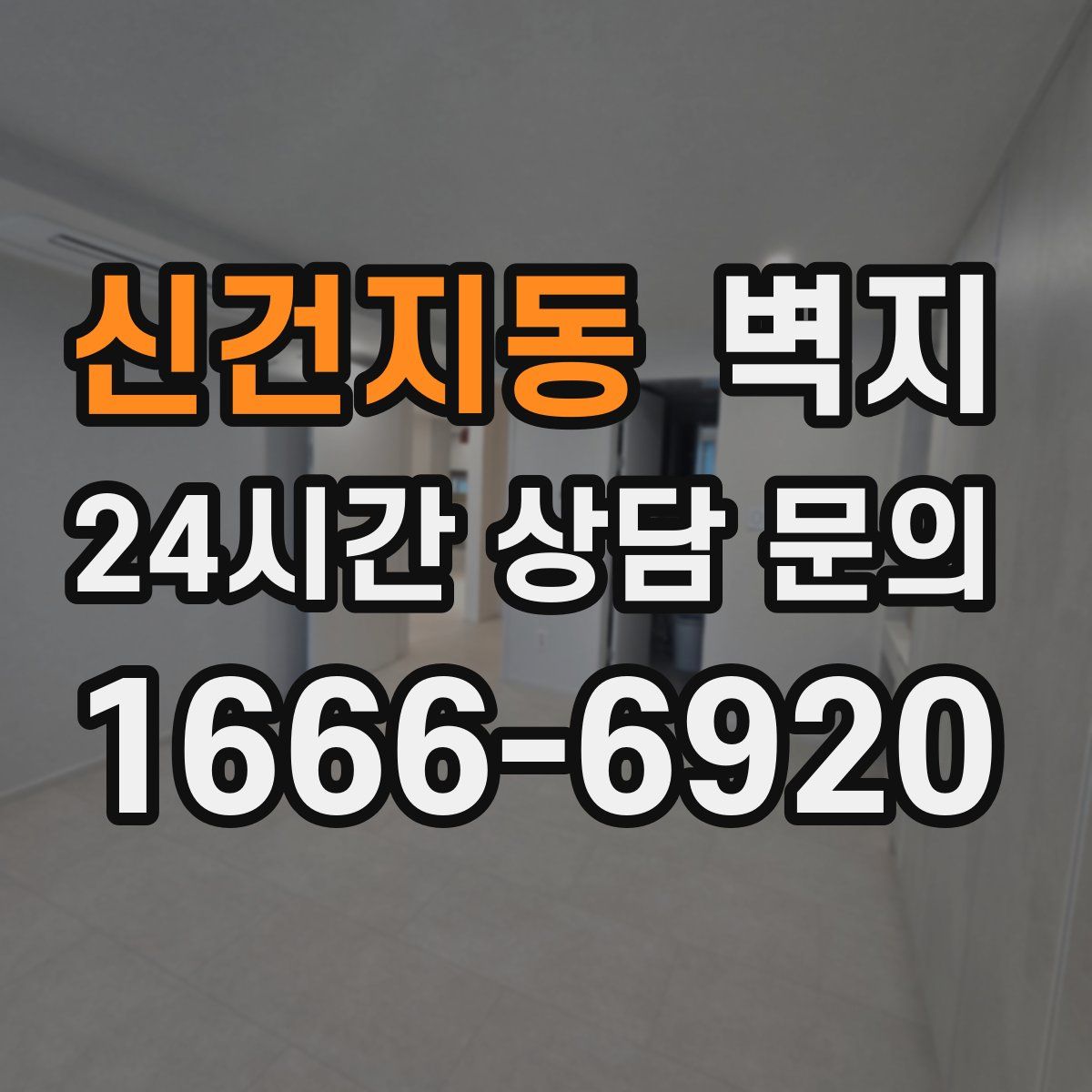 신건지동 벽지