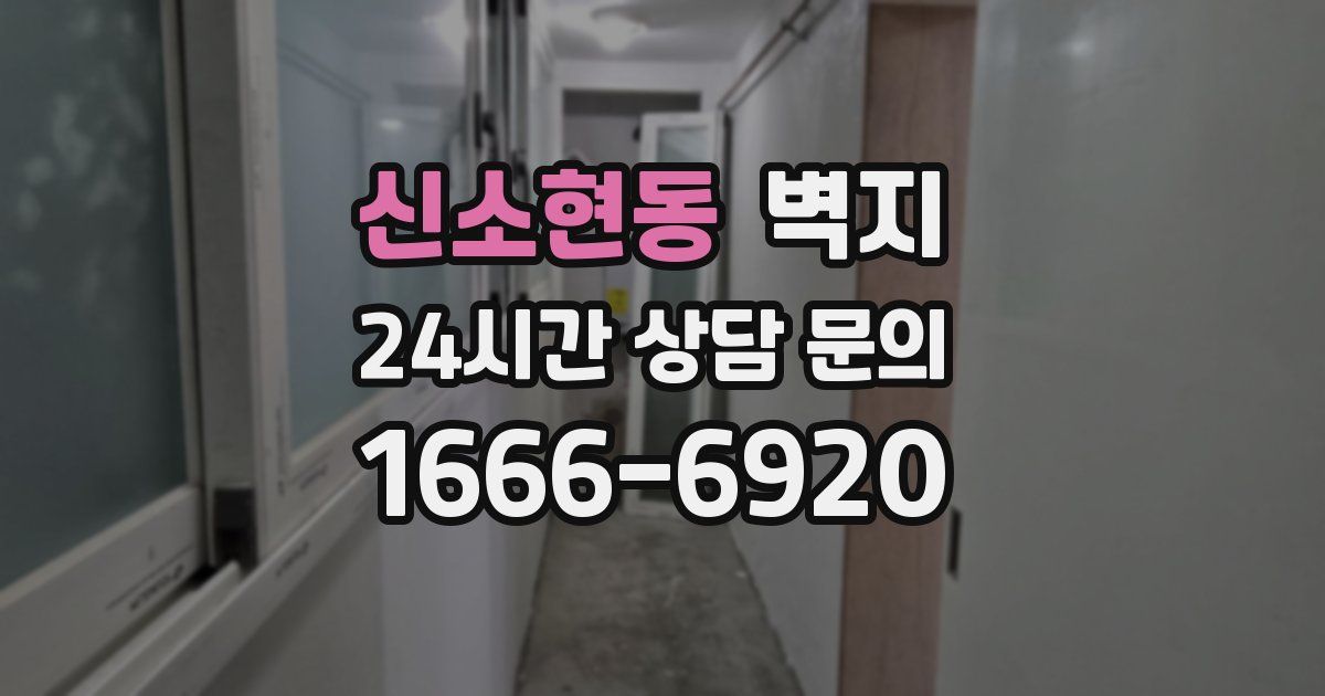신소현동 벽지
