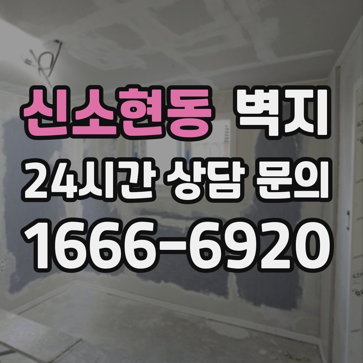 신소현동 벽지
