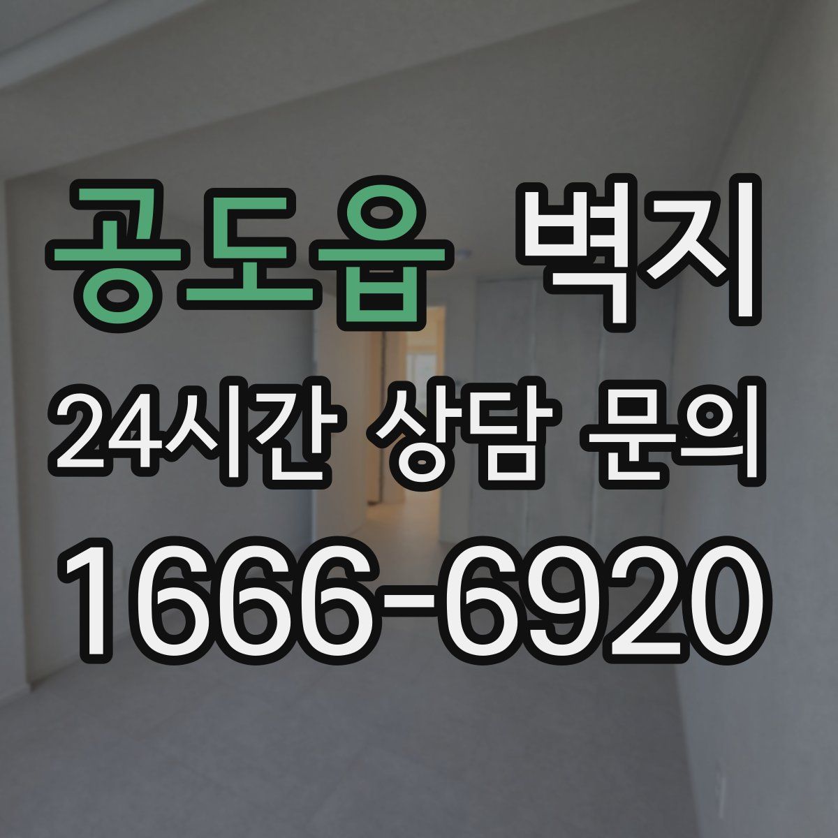 공도읍 벽지