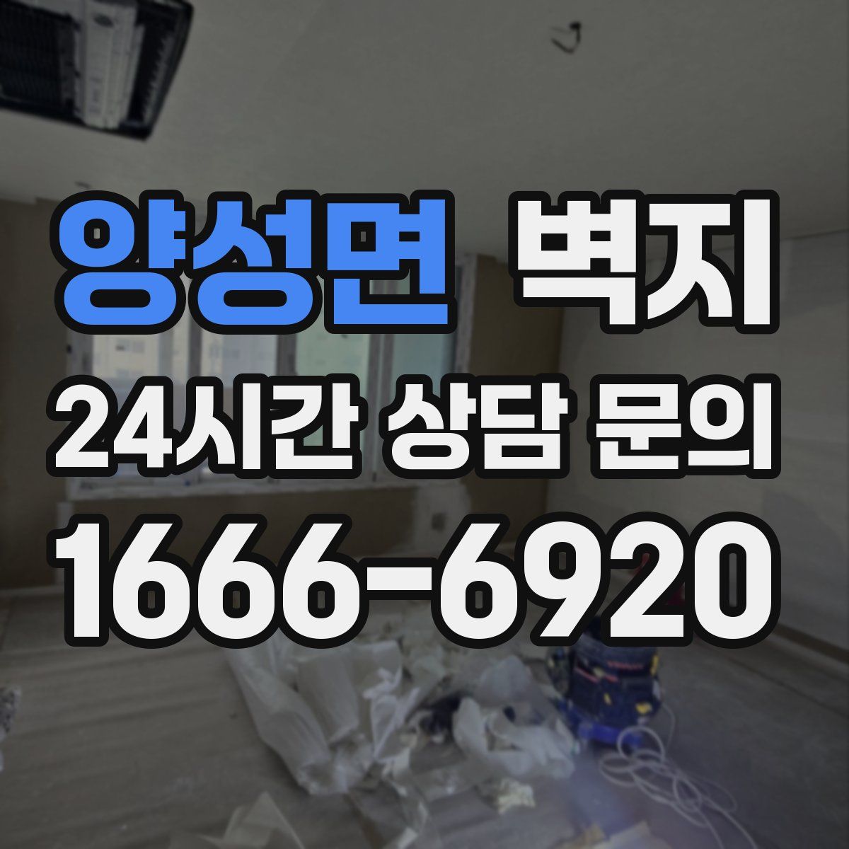 양성면 벽지