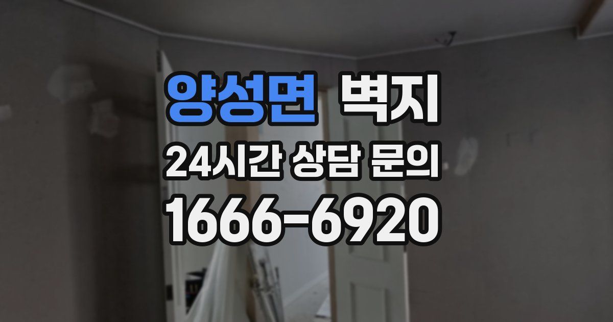 양성면 벽지