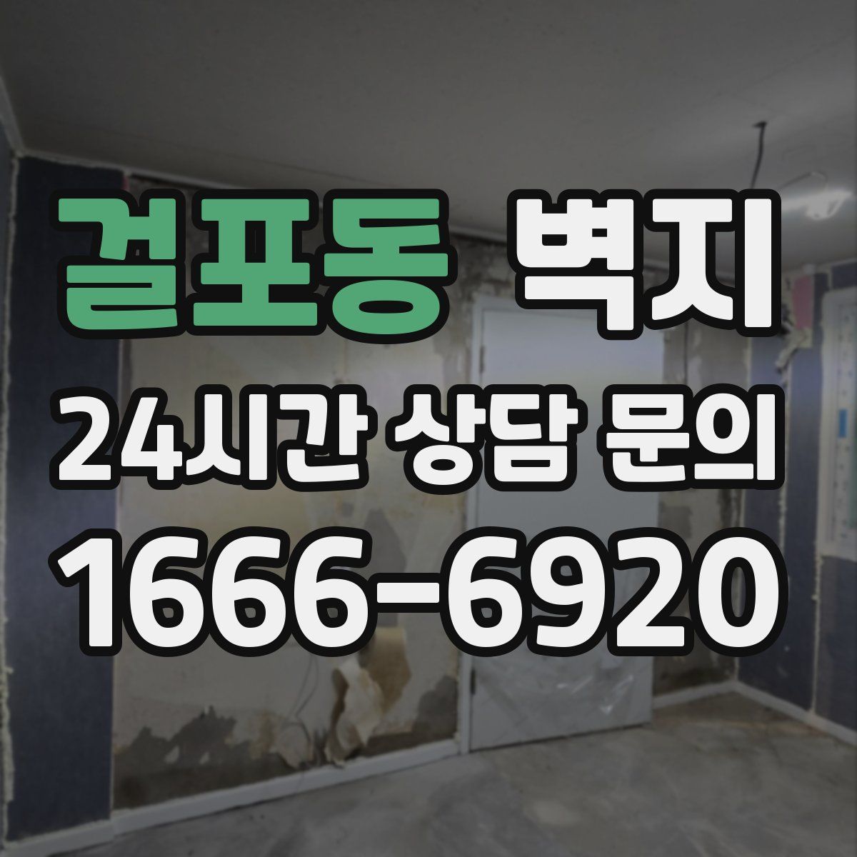 걸포동 벽지