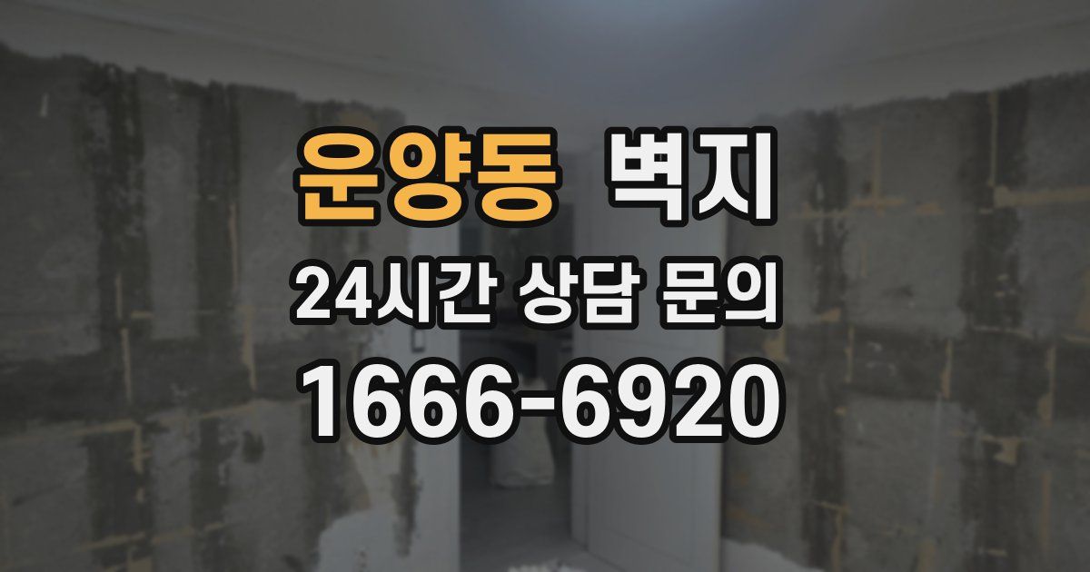 운양동 벽지