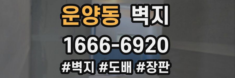 운양동 벽지