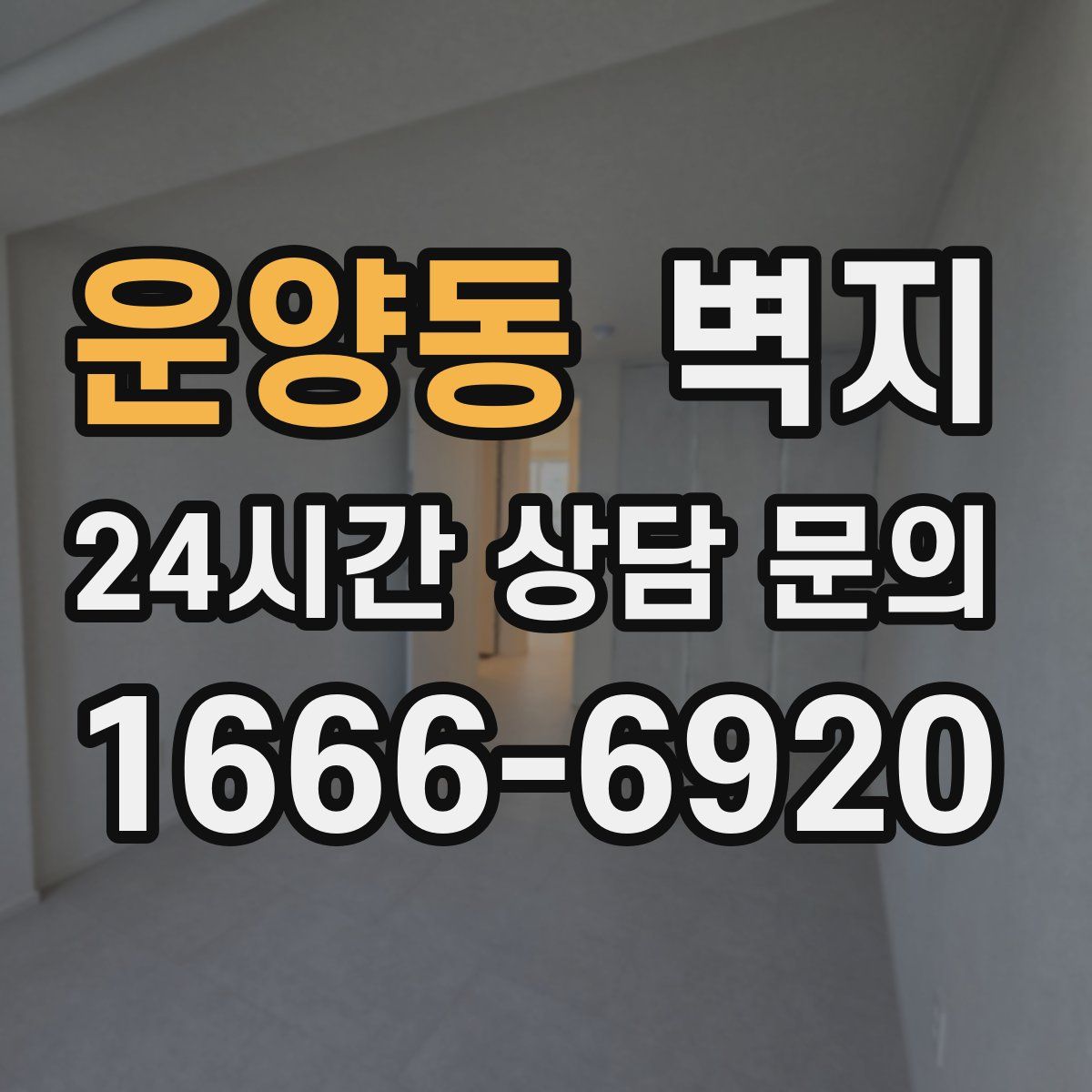 운양동 벽지