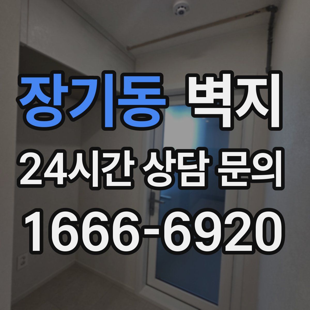 장기동 벽지