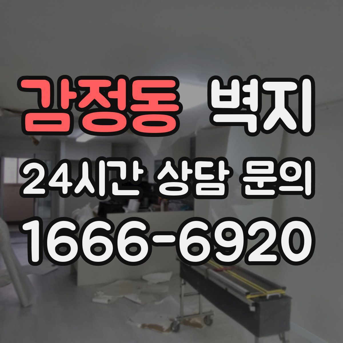 감정동 벽지