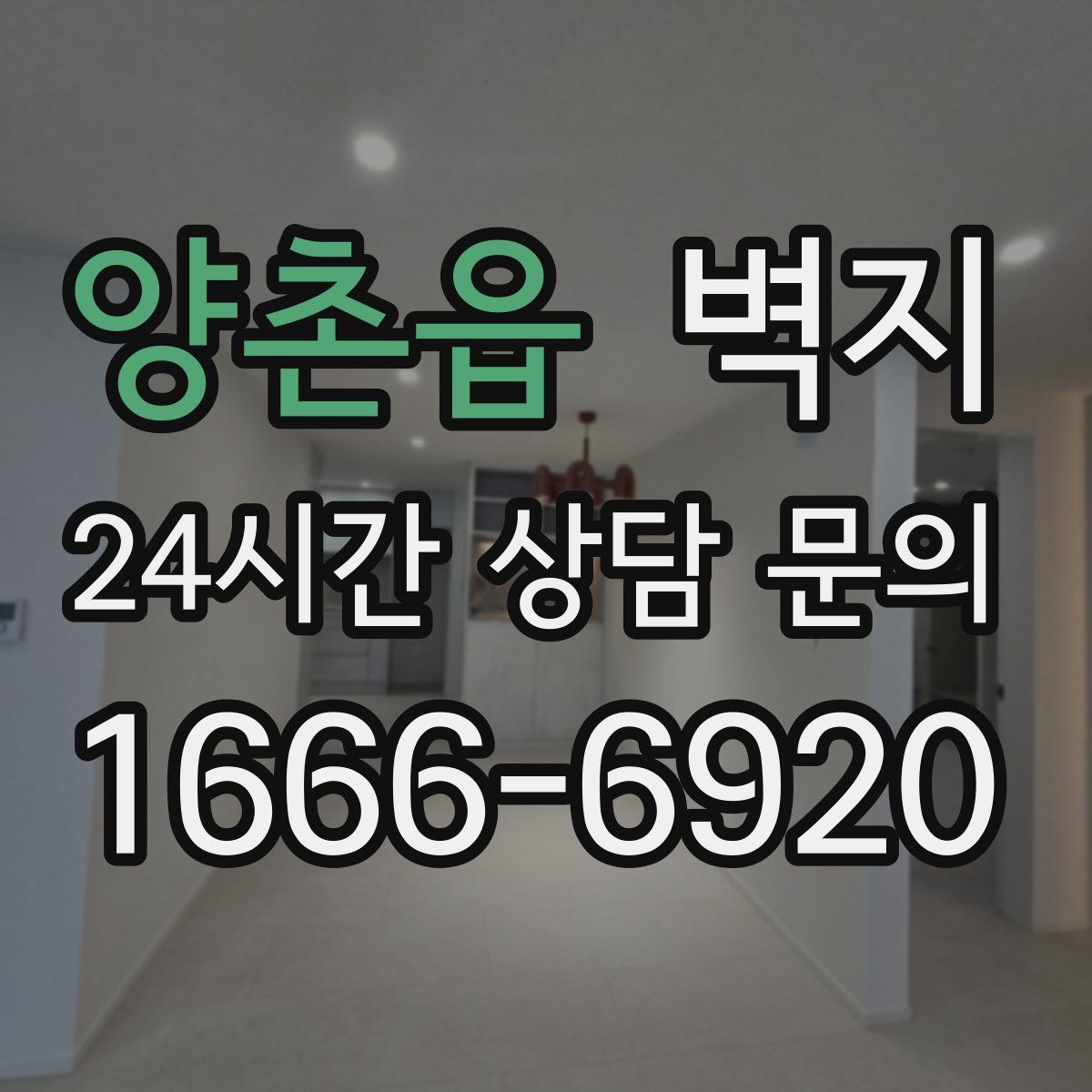 양촌읍 벽지