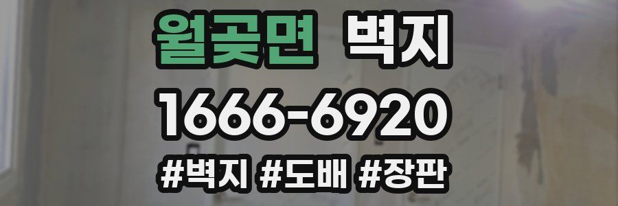 월곶면 벽지
