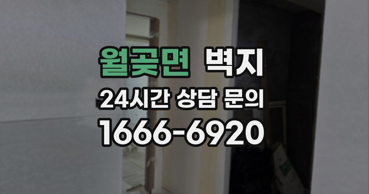 월곶면 벽지