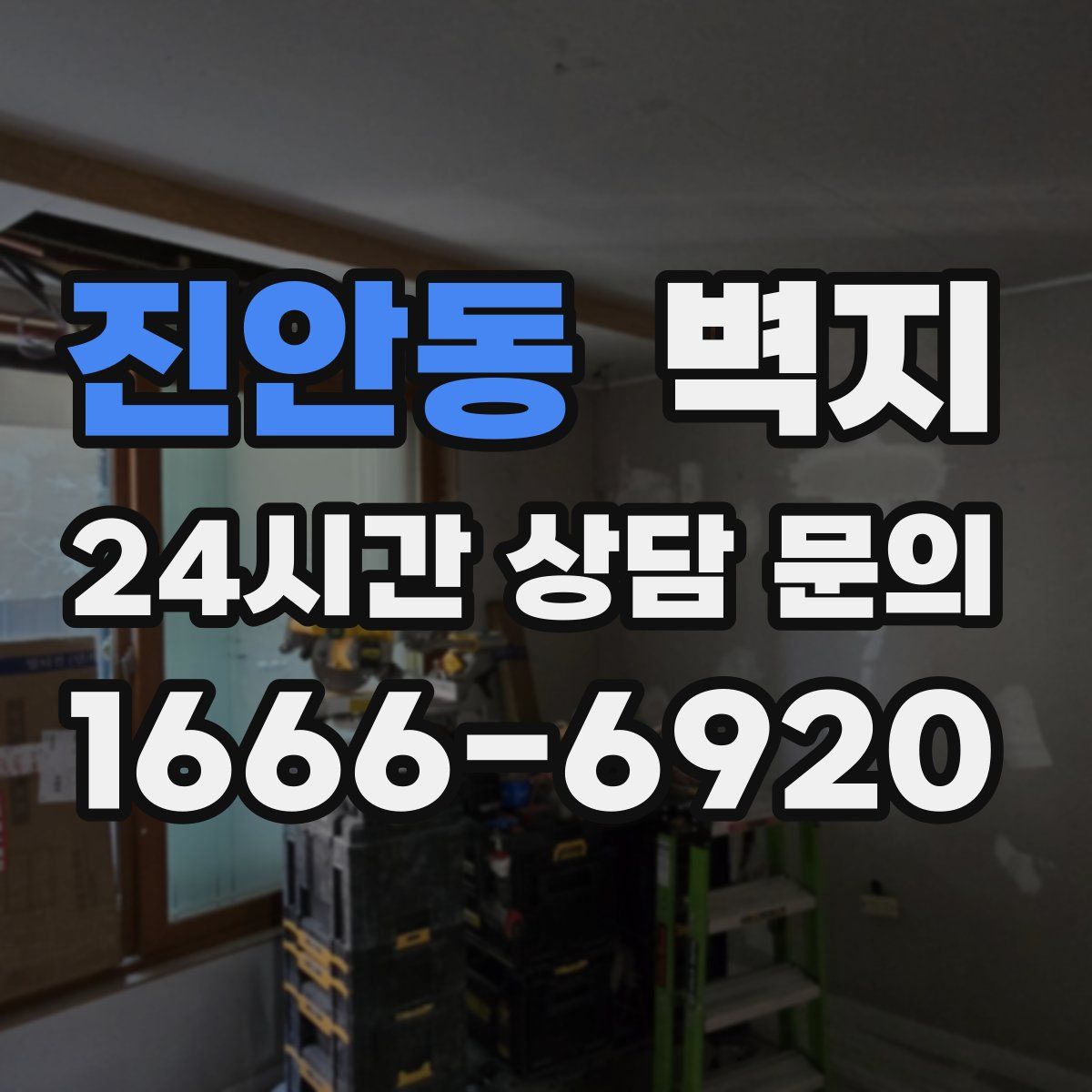 진안동 벽지