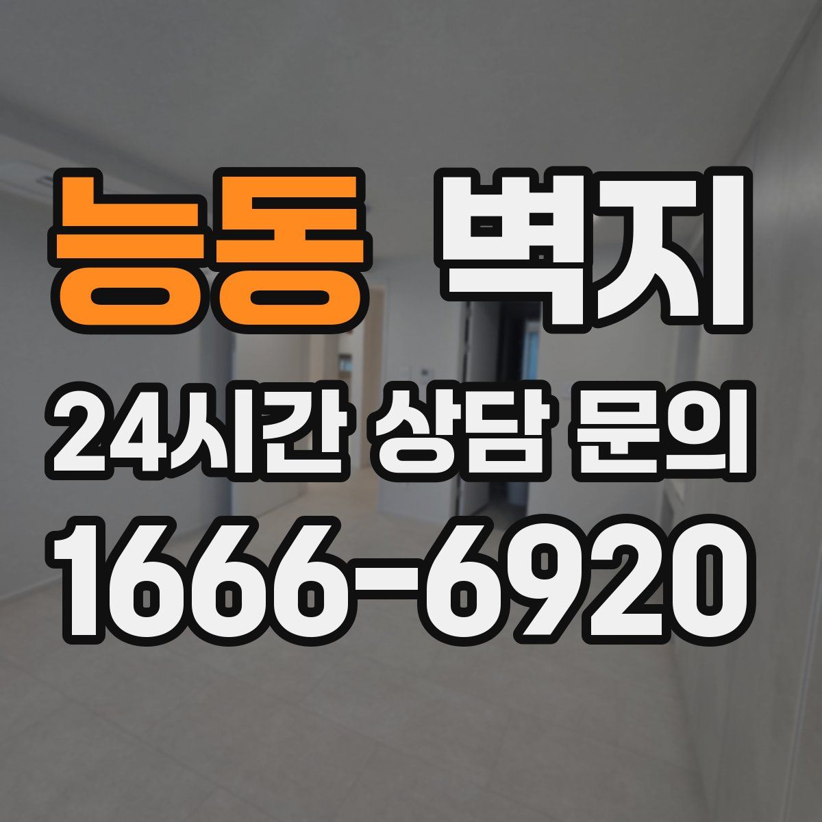 능동 벽지