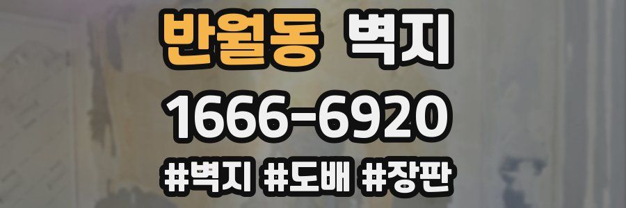 반월동 벽지