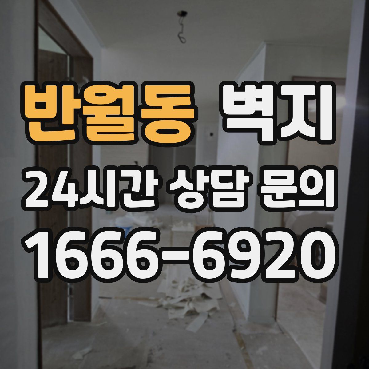 반월동 벽지