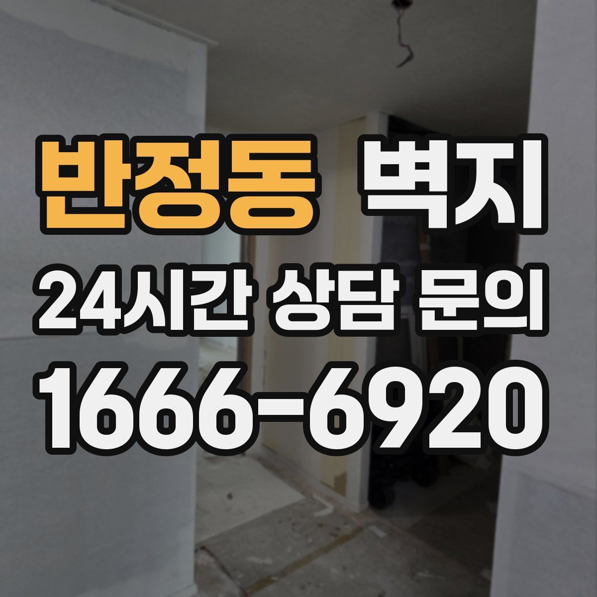 반정동 벽지