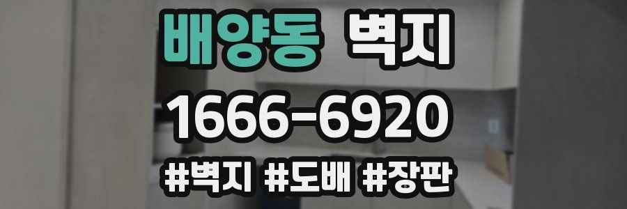 배양동 벽지