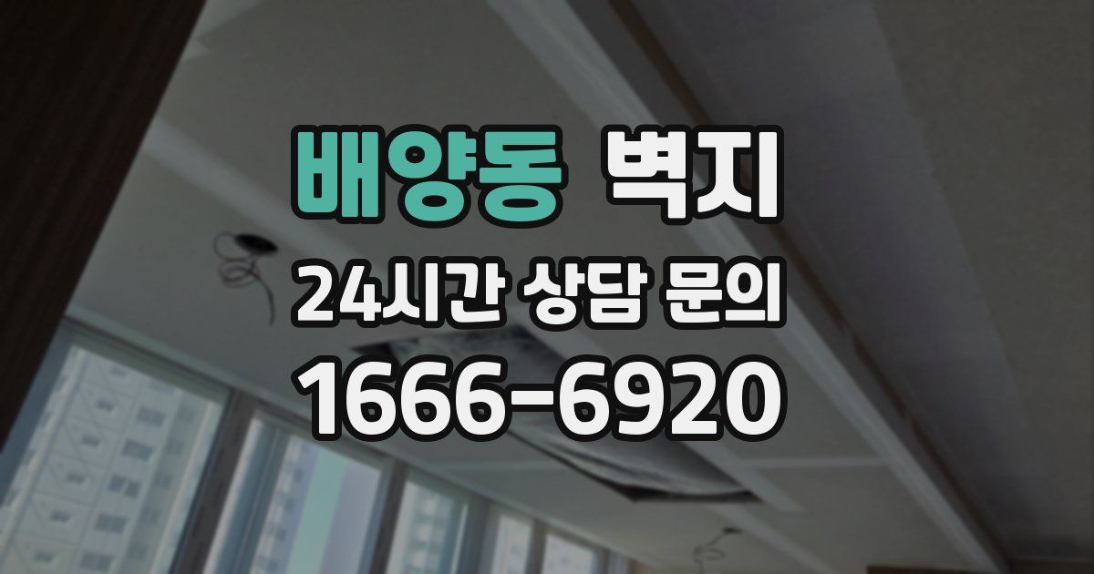 배양동 벽지