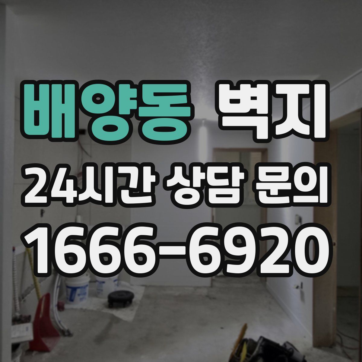 배양동 벽지