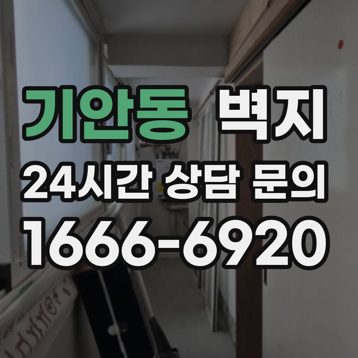 기안동 벽지