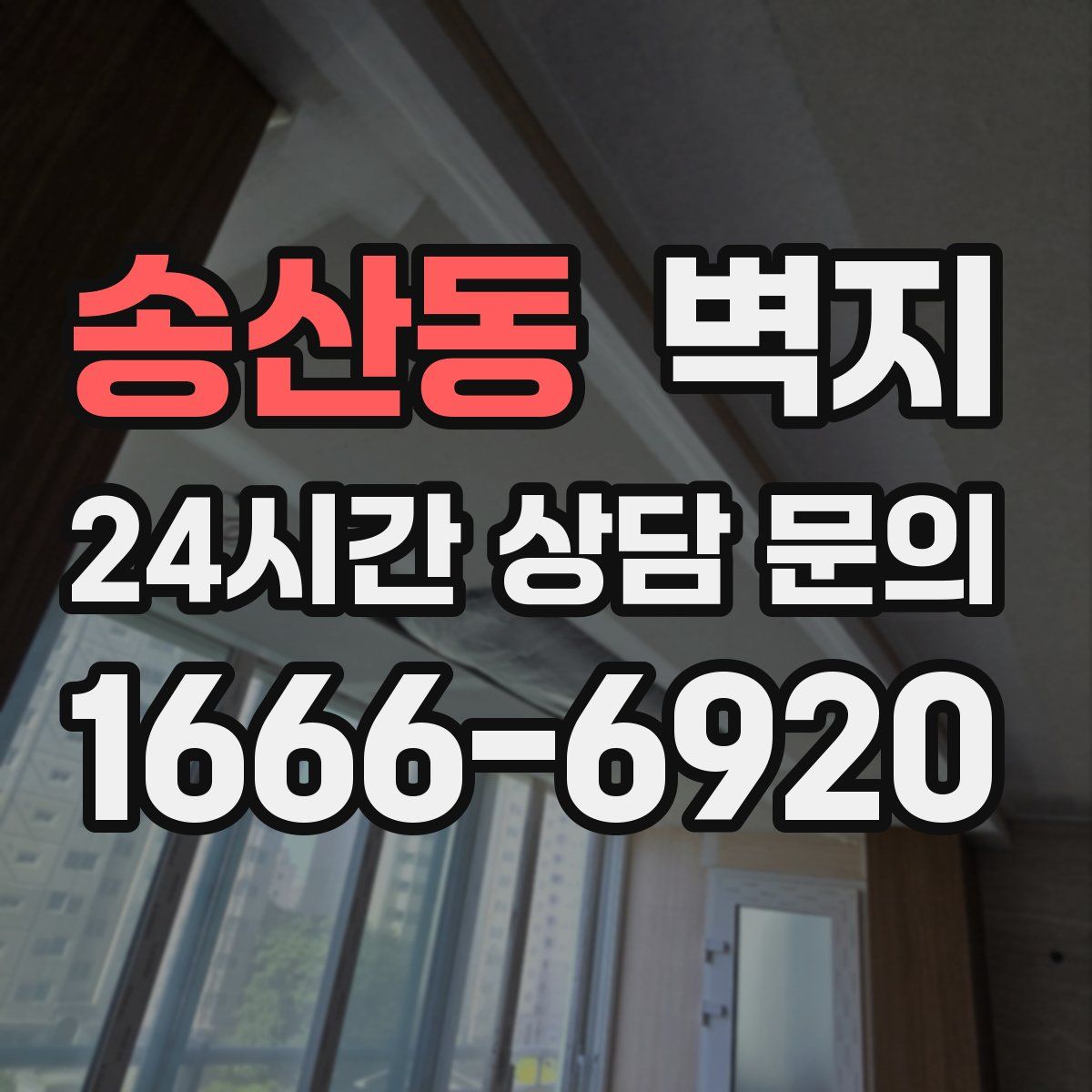 송산동 벽지