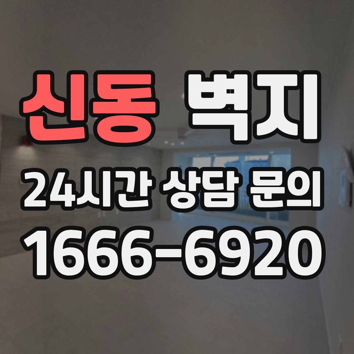 신동 벽지