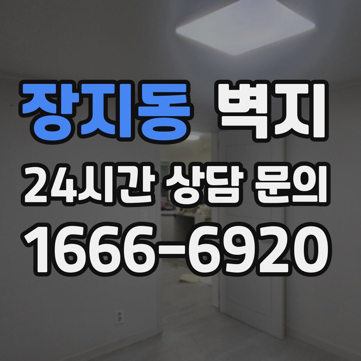 장지동 벽지