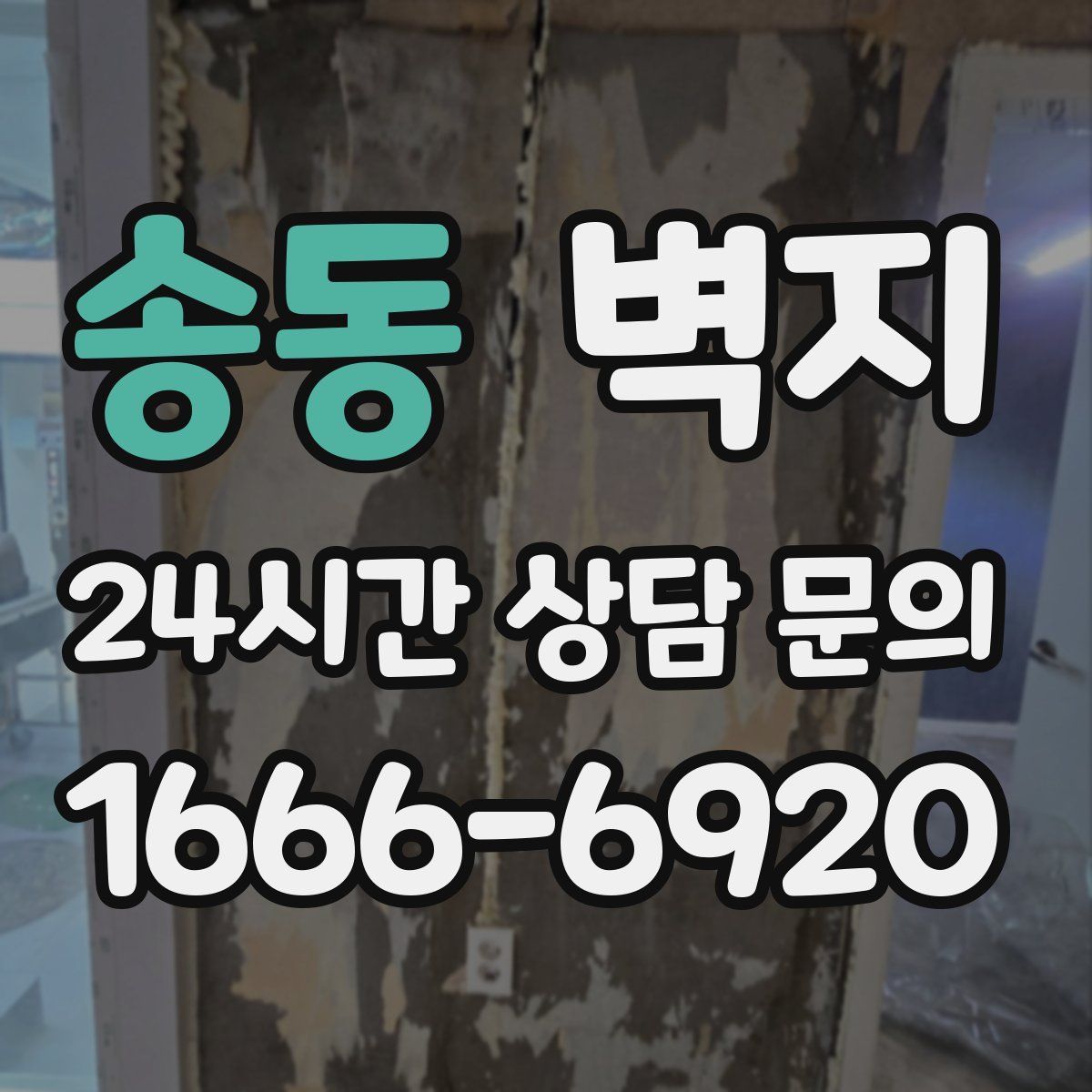 송동 벽지