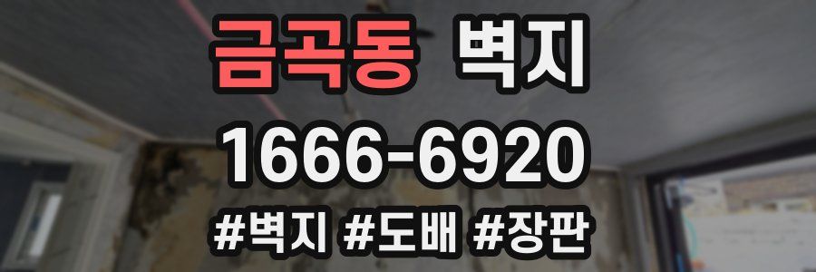 금곡동 벽지