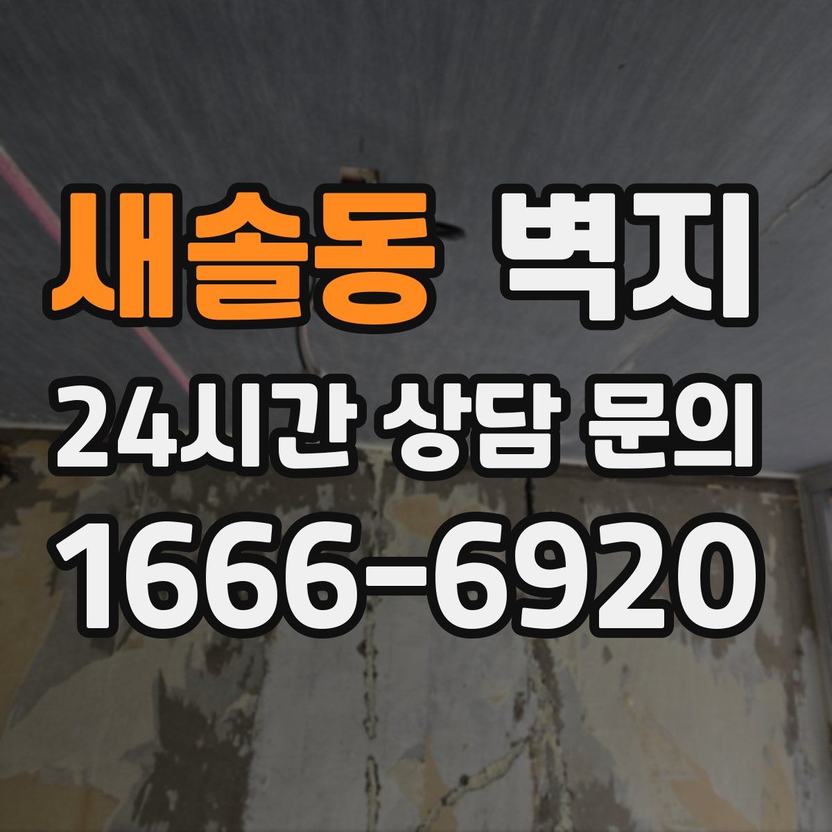 새솔동 벽지