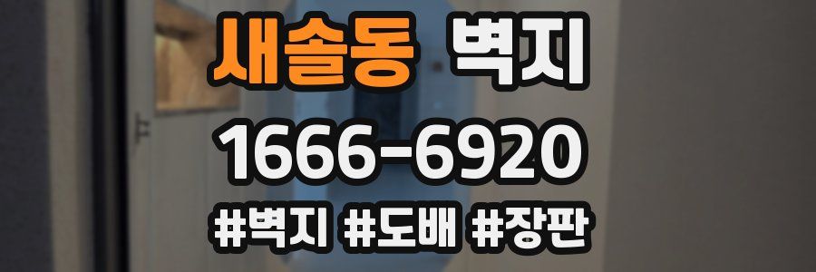 새솔동 벽지