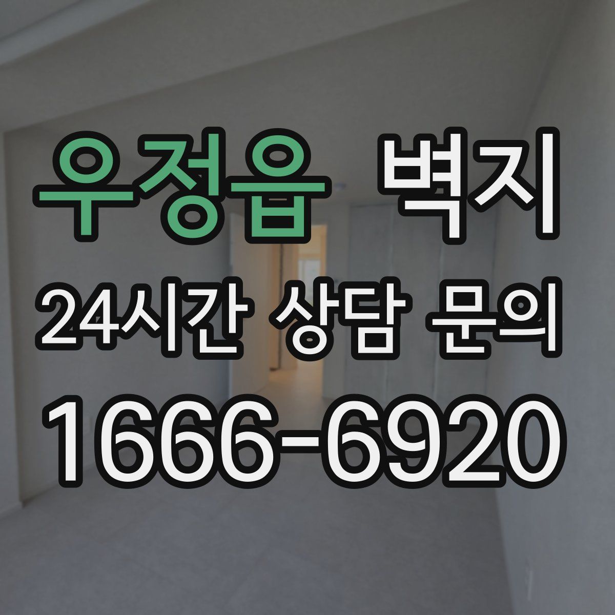 우정읍 벽지