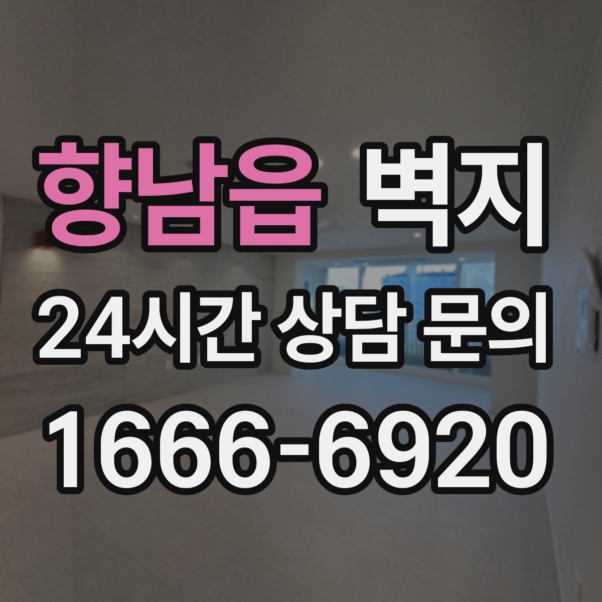 향남읍 벽지