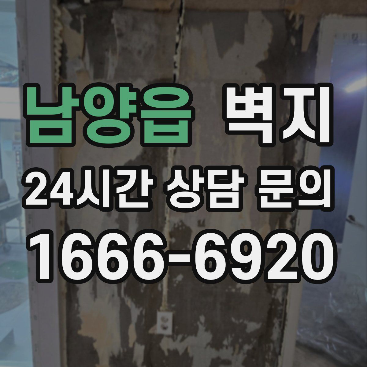 남양읍 벽지
