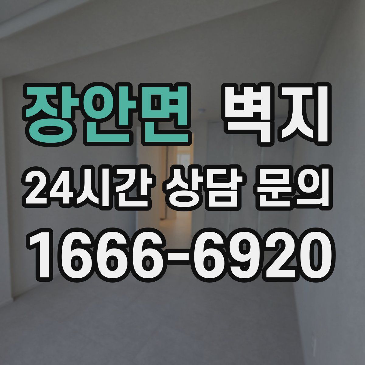 장안면 벽지