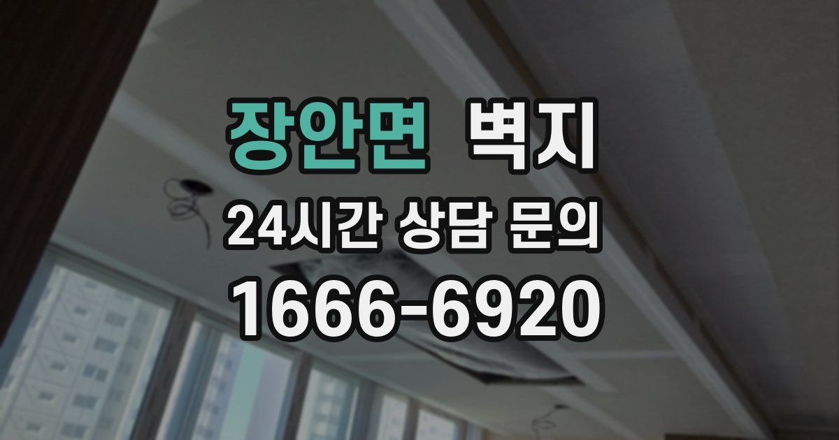 장안면 벽지