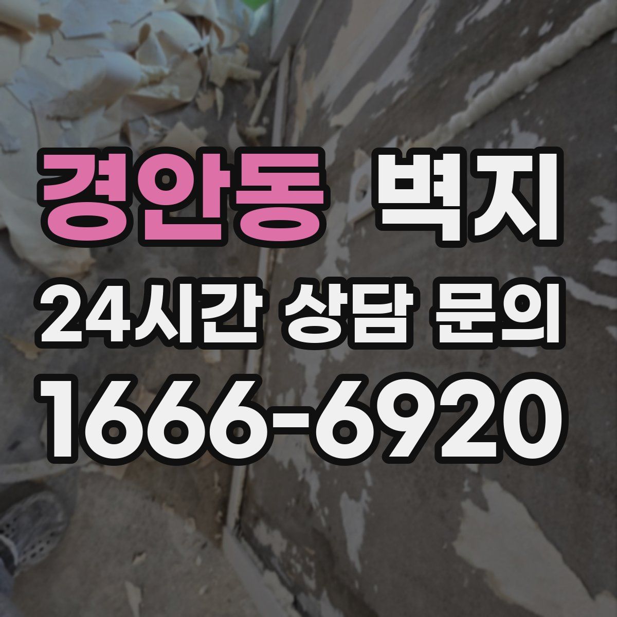경안동 벽지
