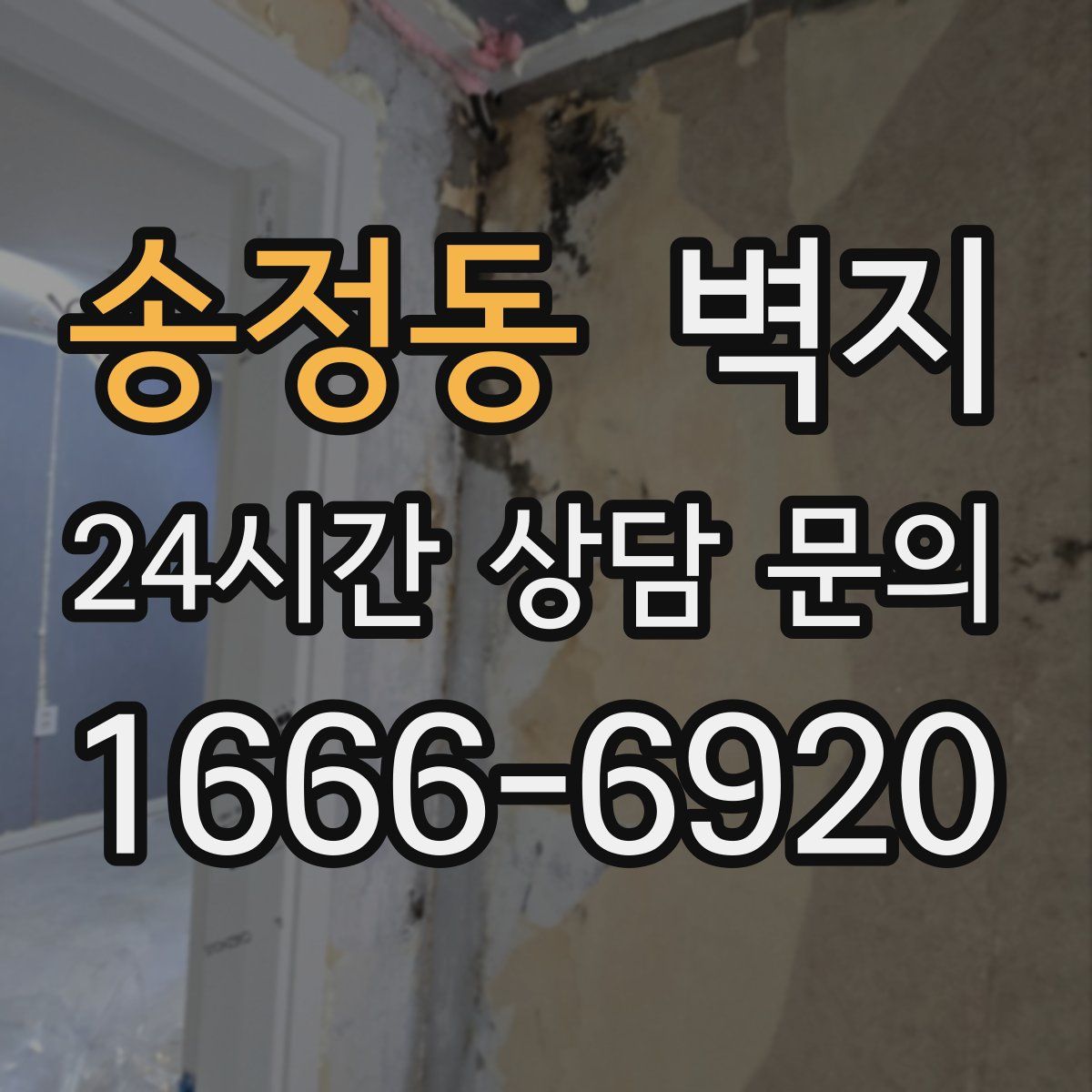 송정동 벽지