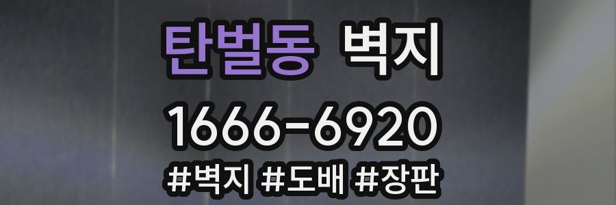 탄벌동 벽지