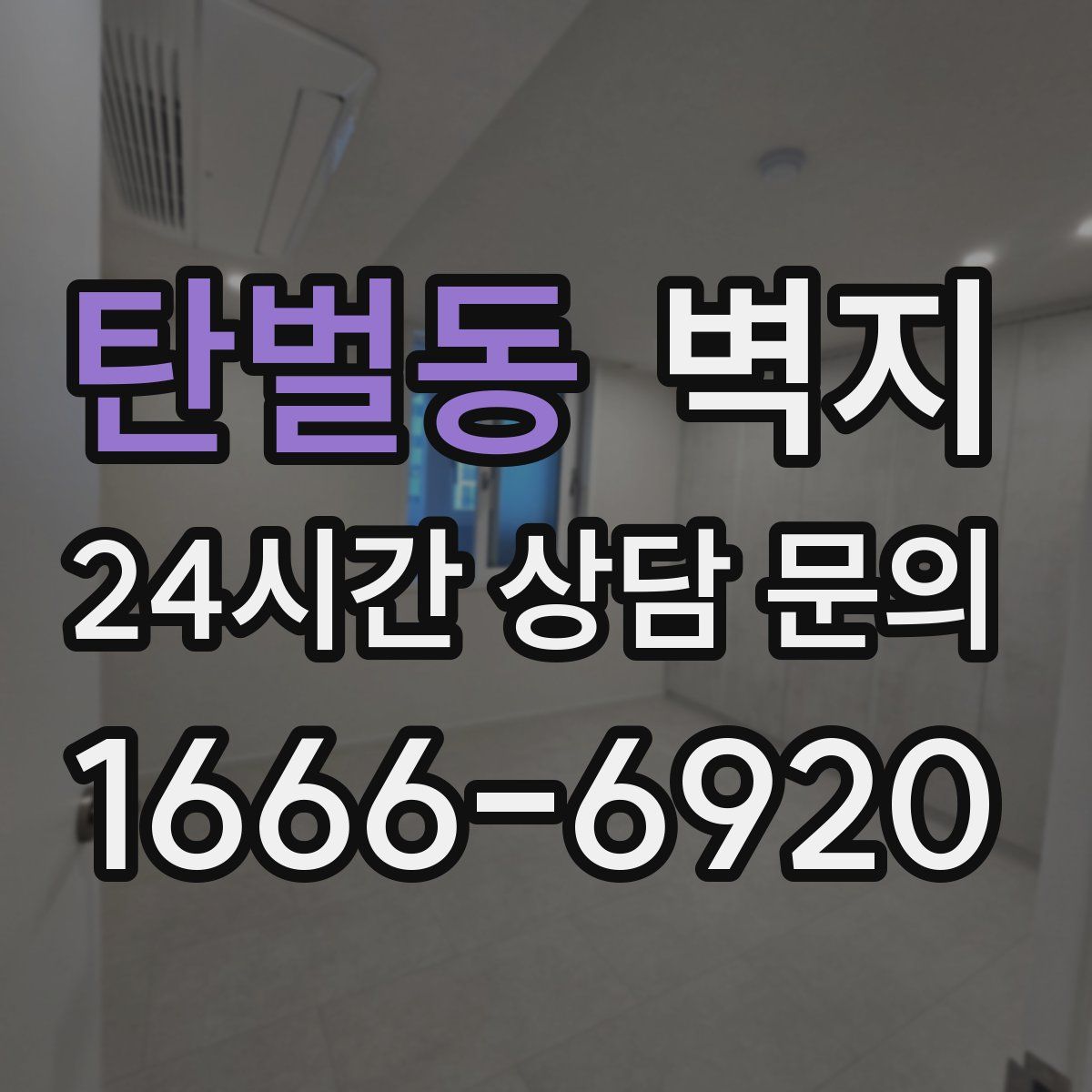 탄벌동 벽지