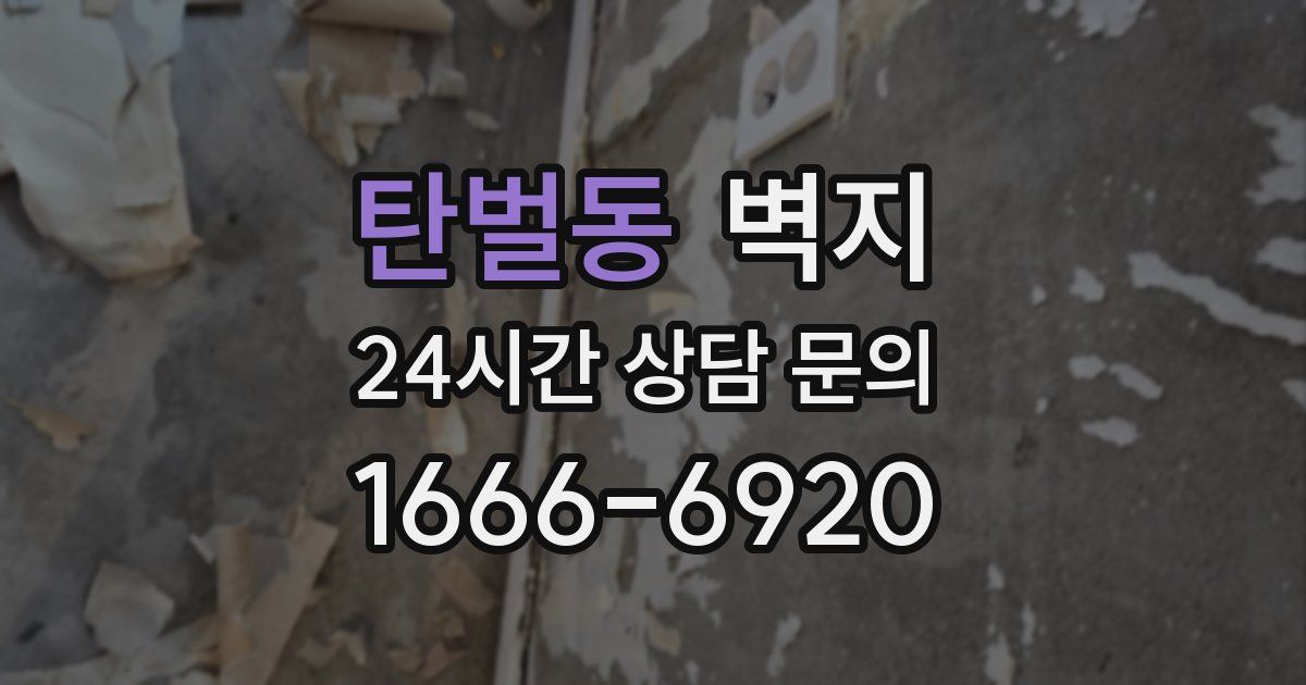 탄벌동 벽지