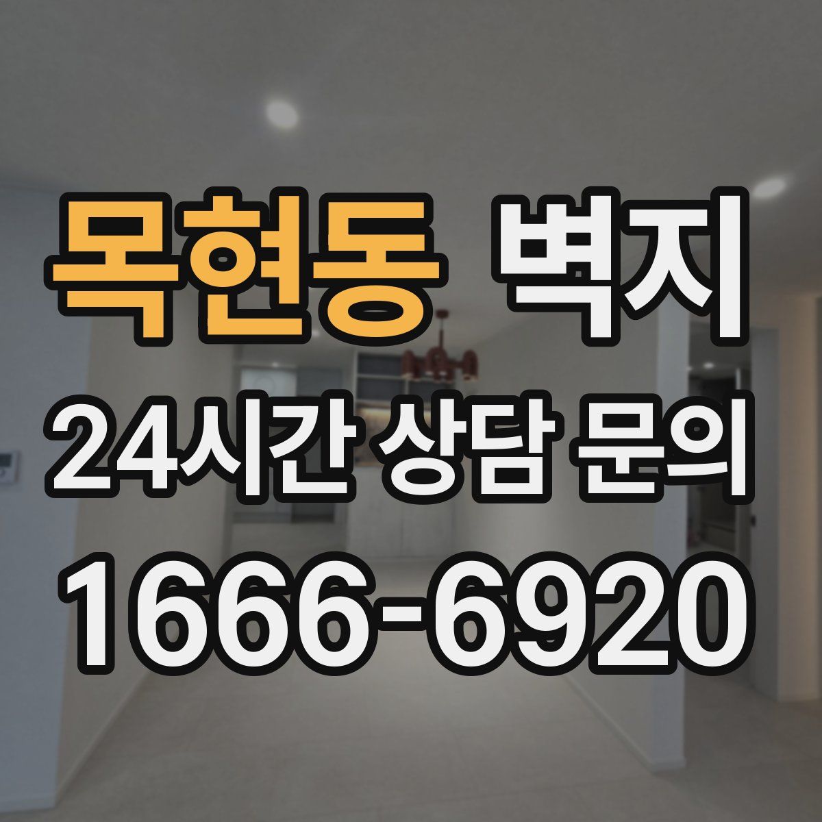 목현동 벽지